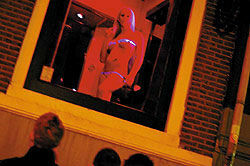 Картины вытеснят проституток с улиц Амстердама