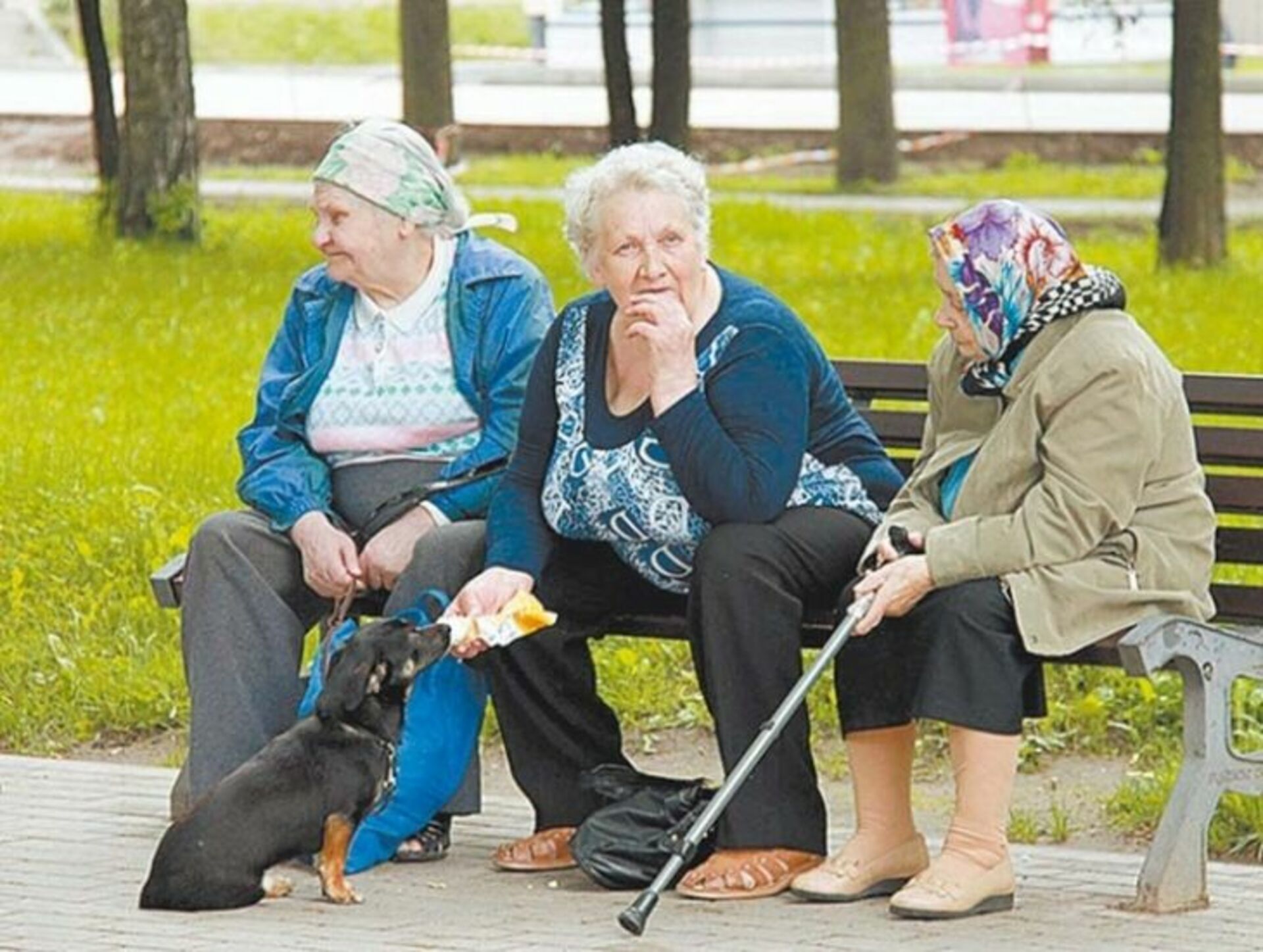 Подмосковная пенсия. Пенсионеры. Российские пенсионеры. Веселые пенсионеры. Веселые российские пенсионеры.