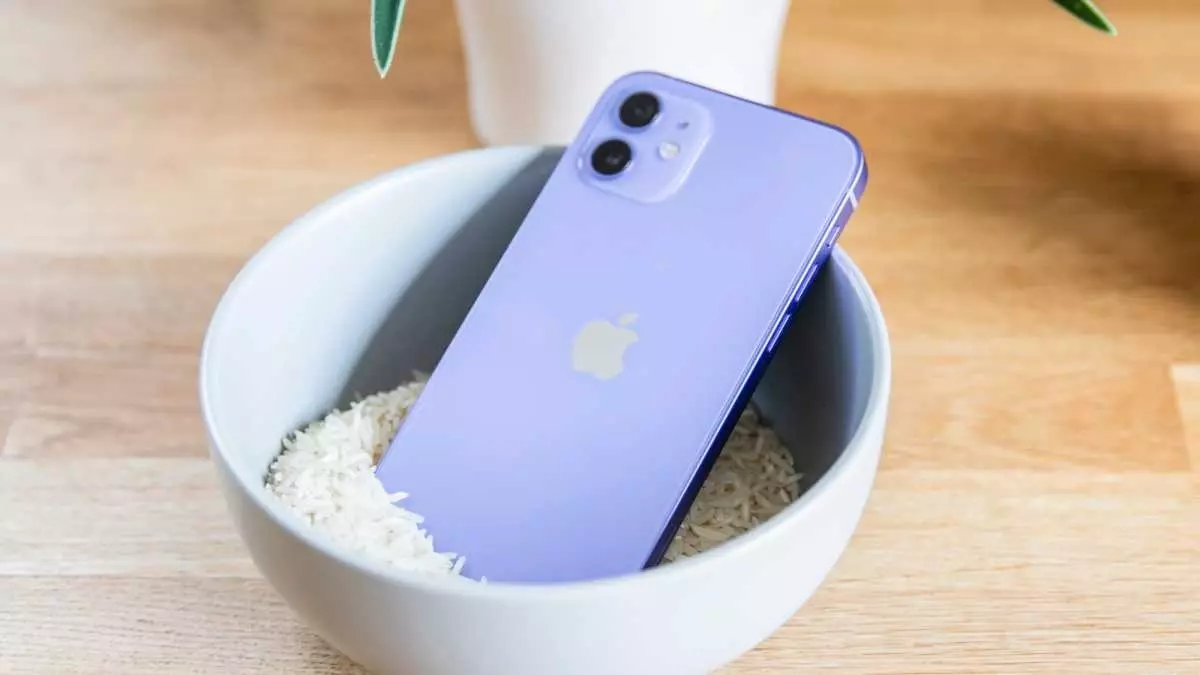 Не кладите iPhone в рис. Мелкие частицы риса могут повредить iPhone