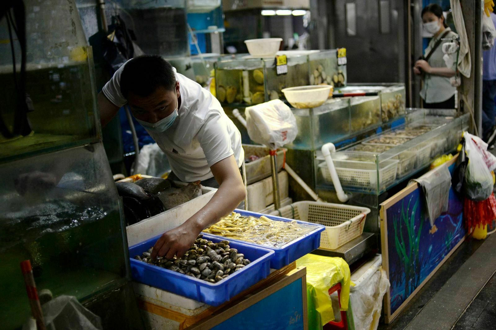 Откуда не ждали: китайцы обнаружили  новый коронавирус в креветках из Эквадора