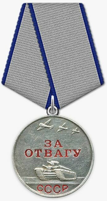 Награда отца Н.Богачева - Медаль за отвагу