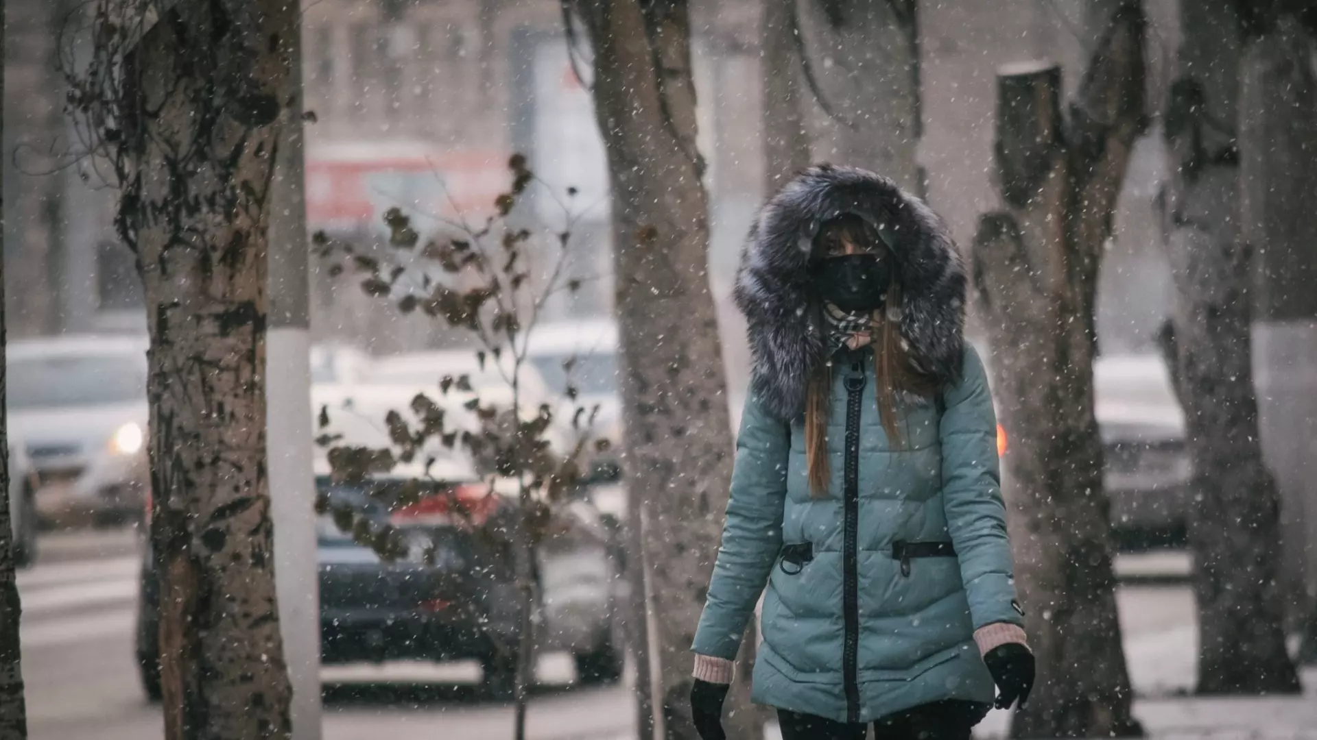 Москвичей предупредили о заморозках на следующей неделе