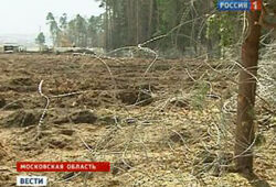 Жителям подмосковного Жуковского запретили ходить в Цаговский лес