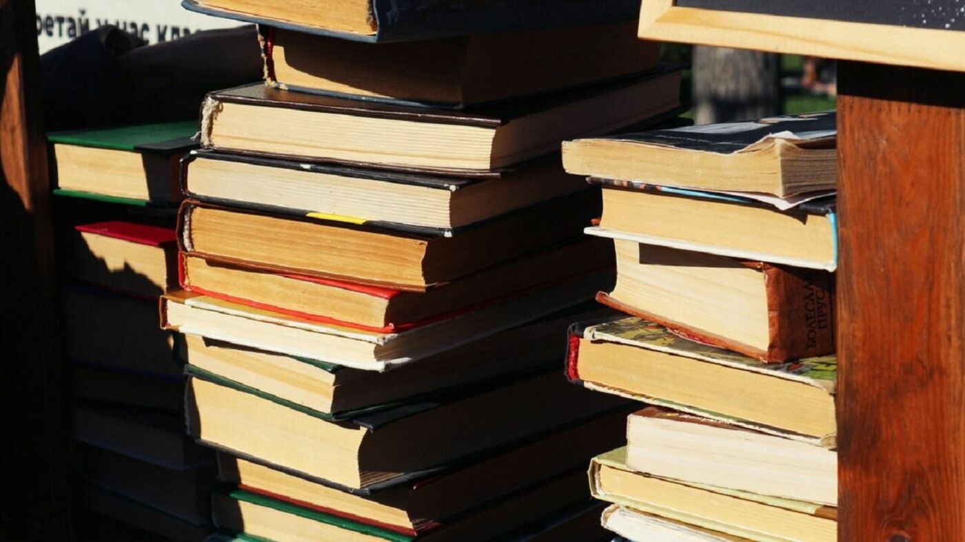 В Думе предложили убрать из программы школ не выдержавшие «испытания временем» книги