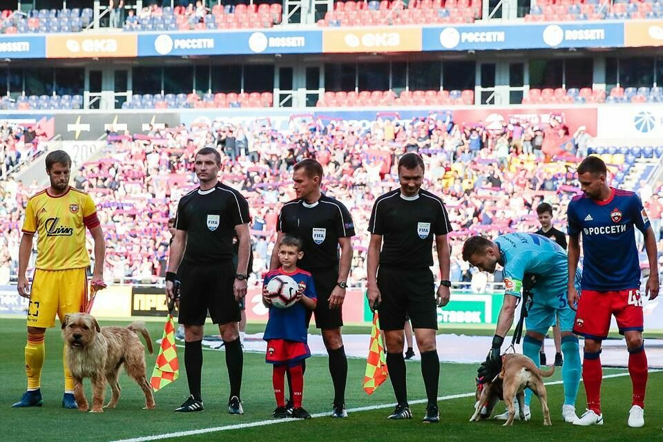Капитаны "ЦСКА" и "Арсенала" вышли на матч с собаками из приюта