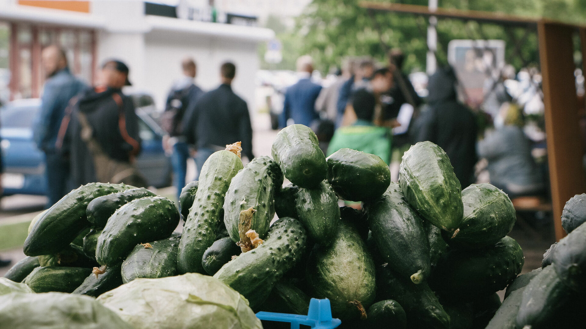 Пенсионерам Ставрополья не дают торговать овощами, несмотря на заявление Мишустина
