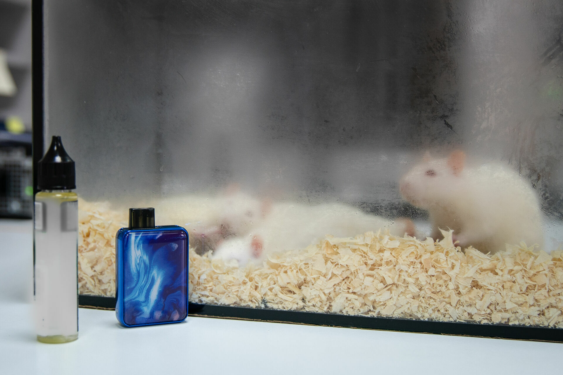 Белые крысы показали, как пары электронных сигарет разрушают легочную ткань