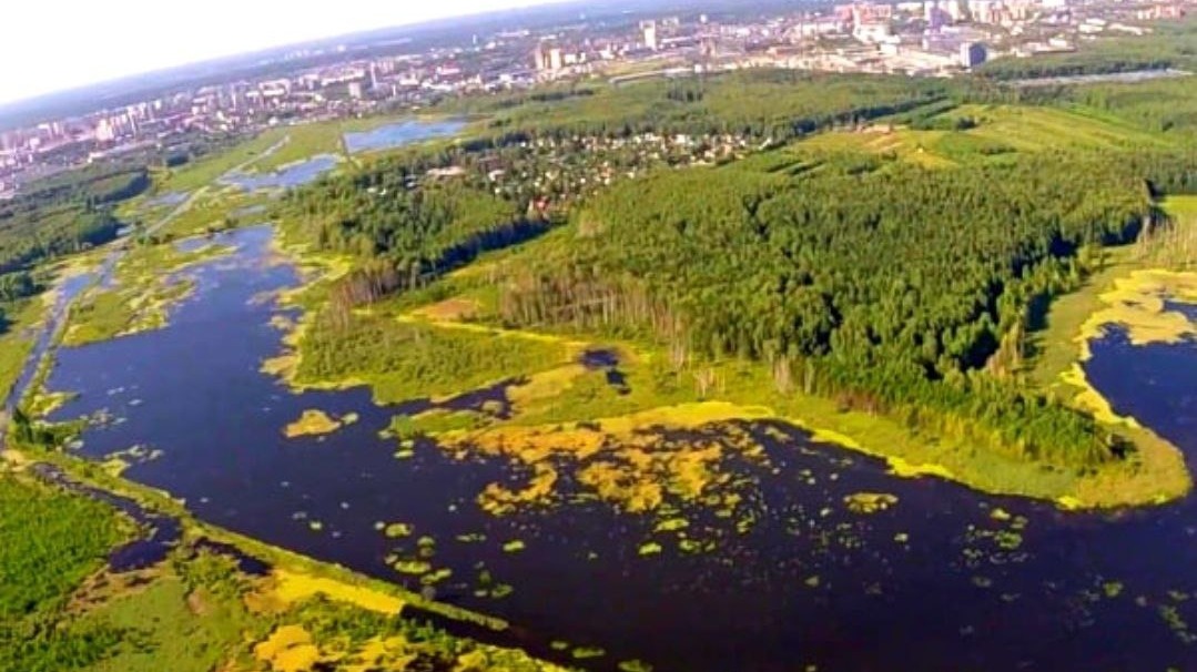 Лосиному острову угрожают асфальтом: Дума передаст этот национальный парк Москве