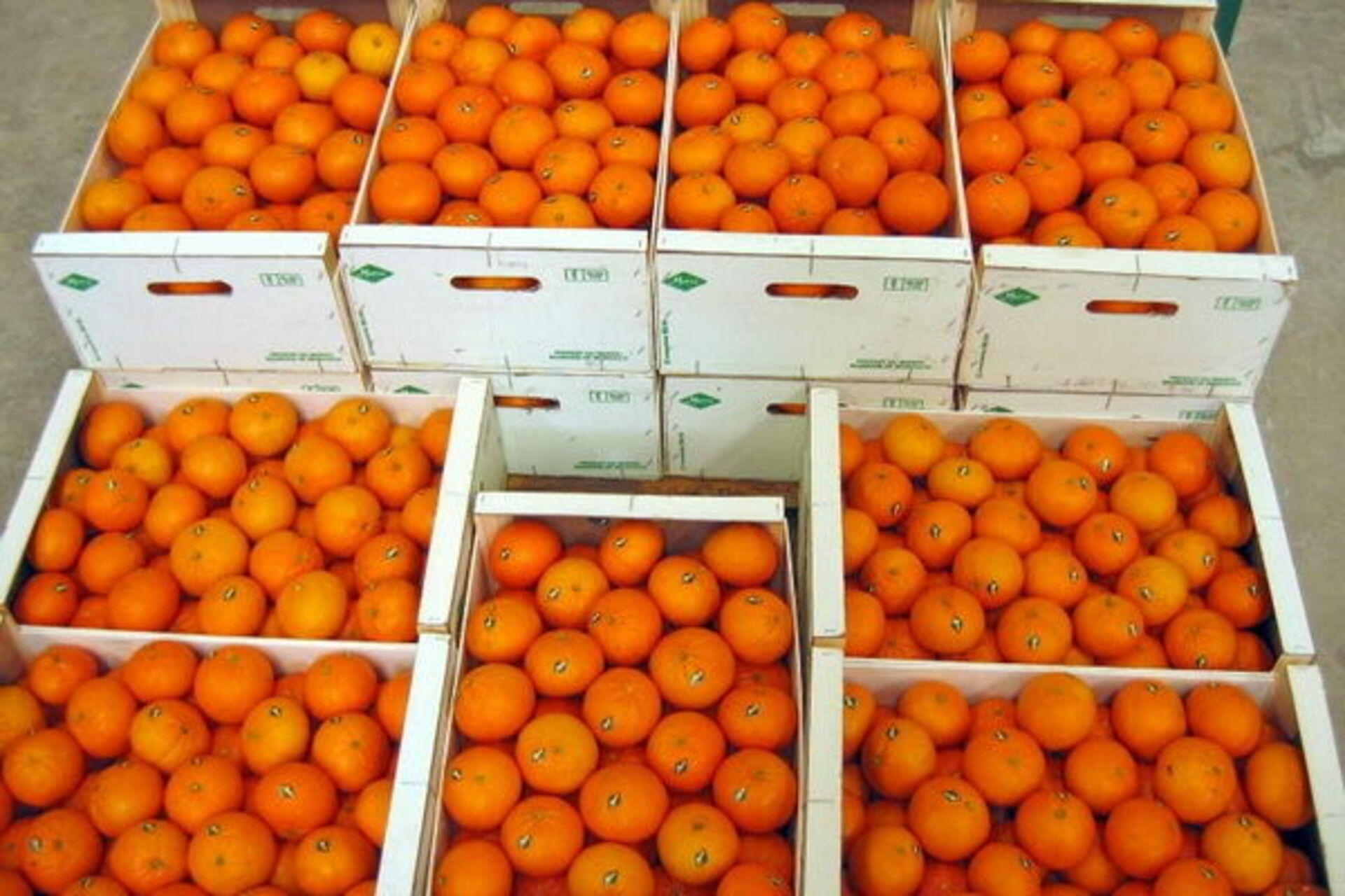 7 кг мандаринов. Мандарин Марокко ящик. Ящик с апельсинами. Ящик с мандаринами. Абхазские мандарины.