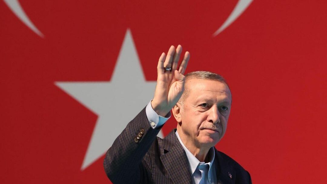 Эрдоган заявил, что Макрон не имеет квалификации главы государства