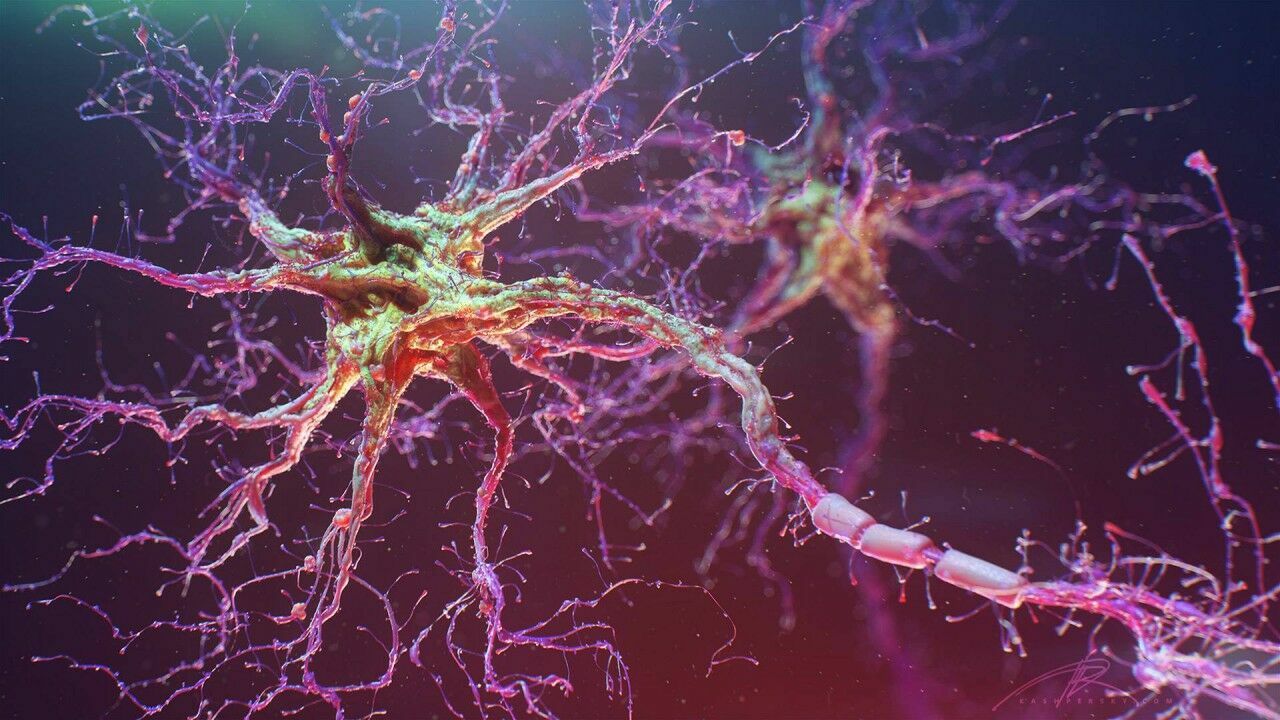 Российские нейробиологи научились восстанавливать нервные клетки