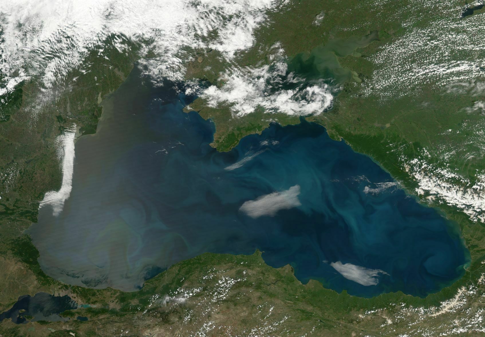 Плоды потепления: со дна Чёрного моря на поверхность поднимается сера