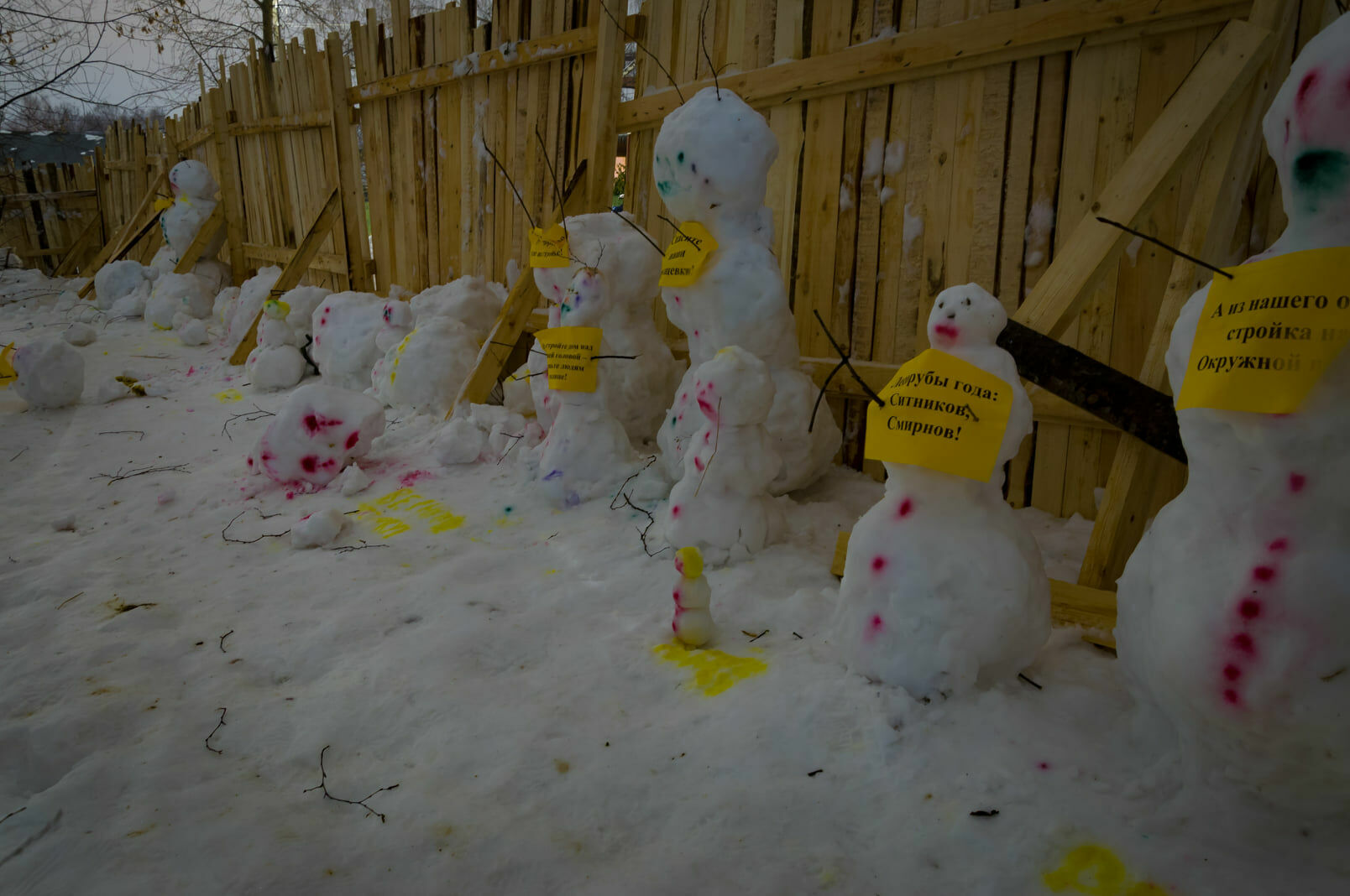 Снеговики в Костроме устроили пикет против точечной застройки