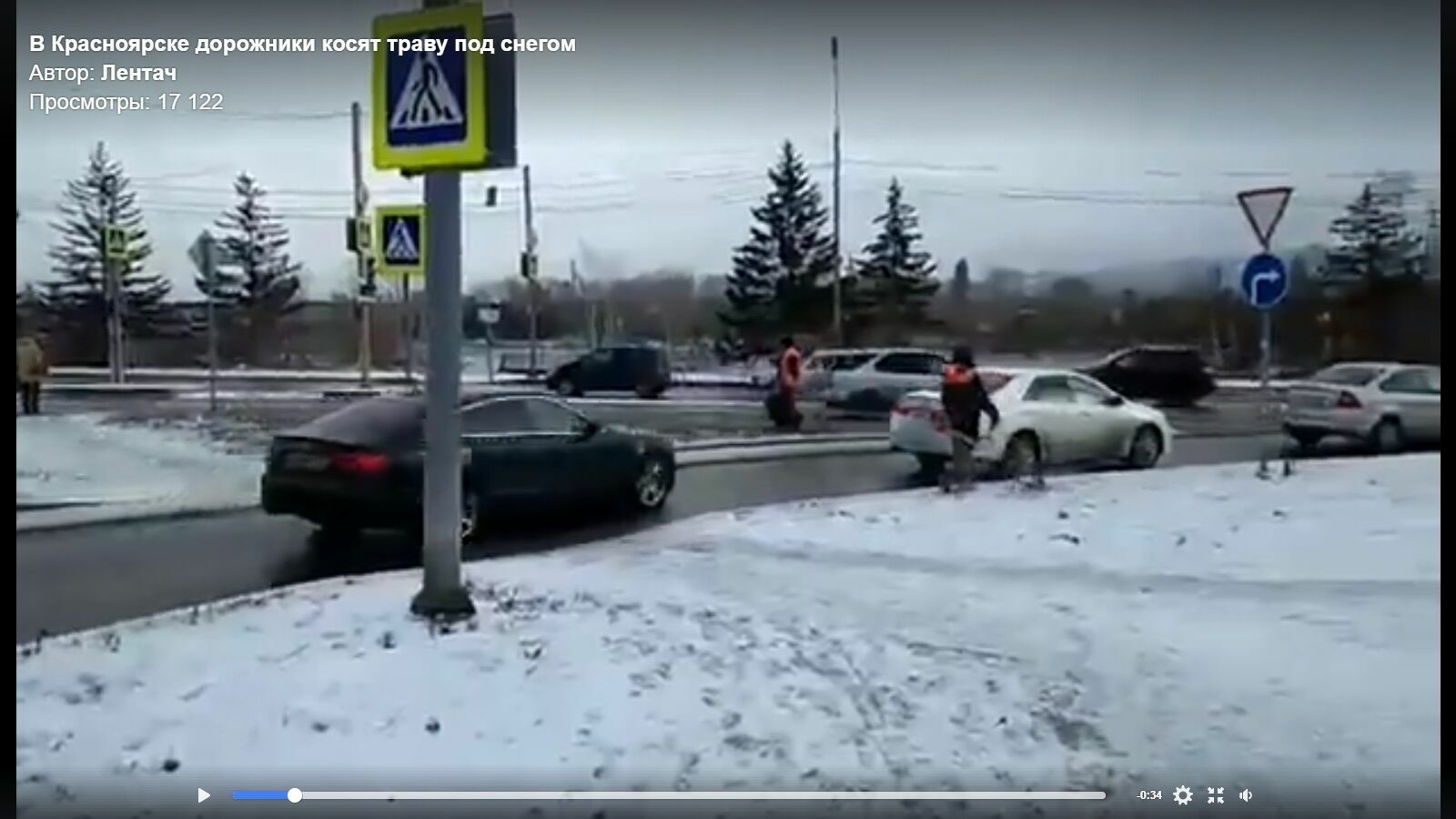 Видео дня: в Красноярске косят траву под снегом