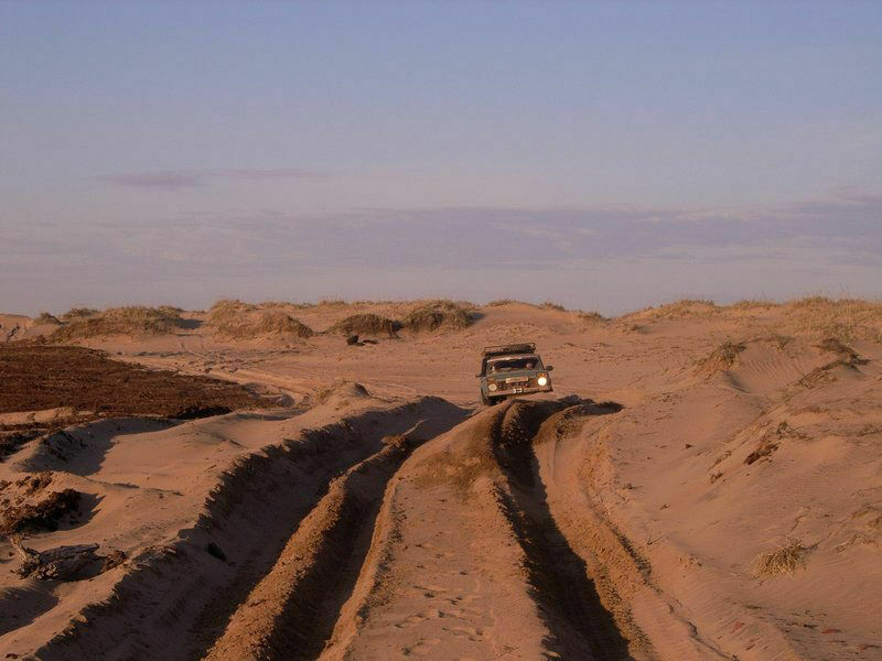 Северная Сахара: на Кольский полуостров наступает песчаная пустыня
