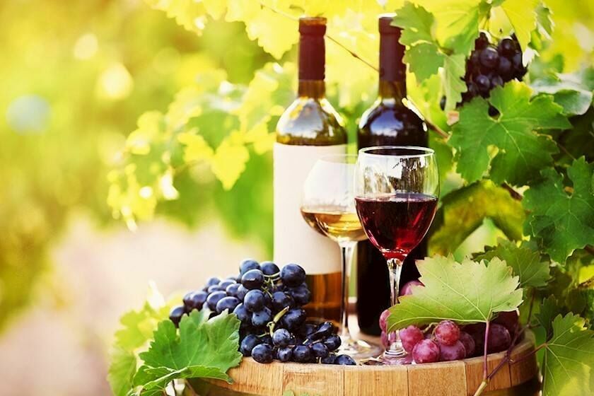 Власти готовятся запретить ввоз грузинского вина
