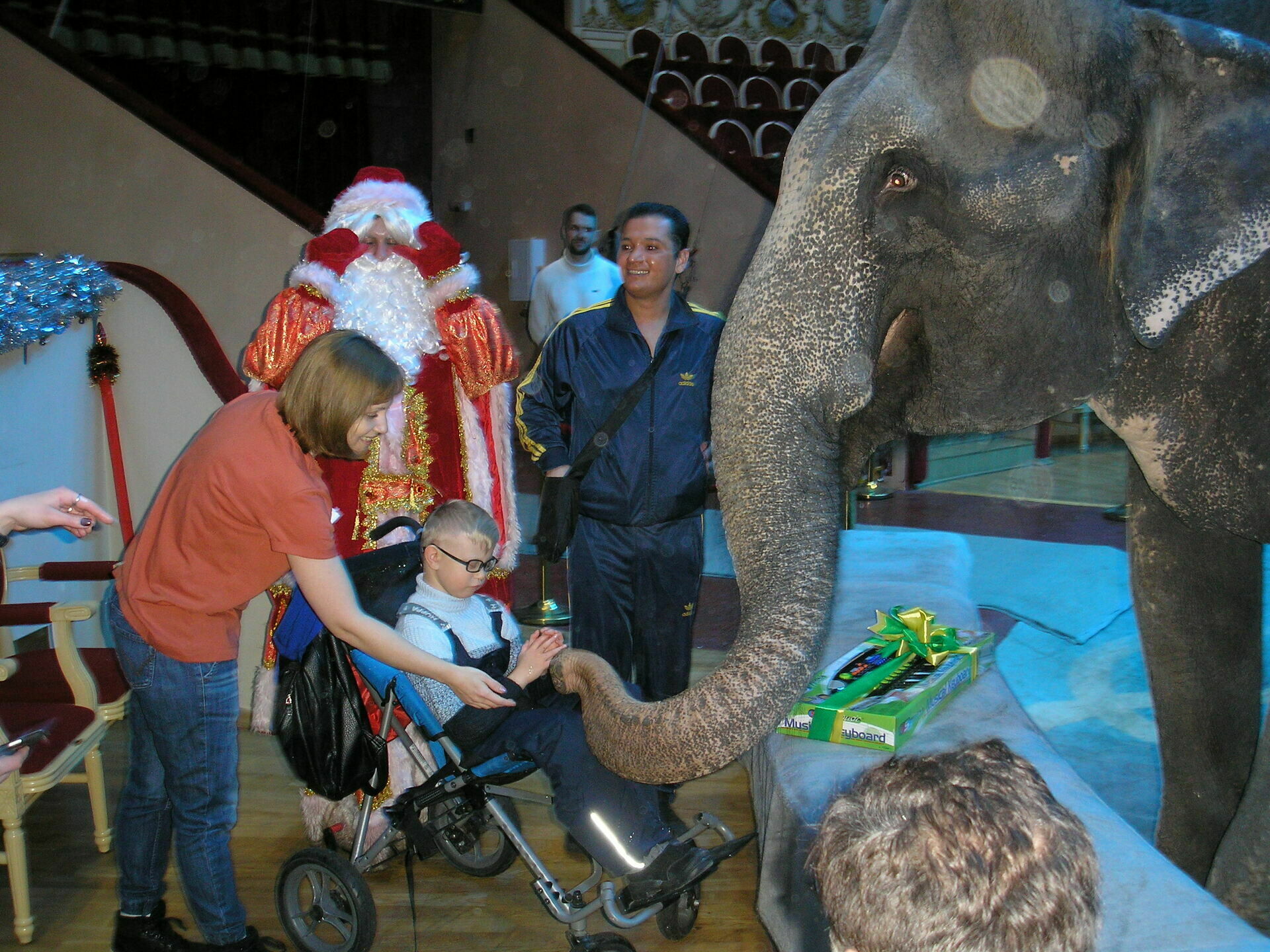Рождественская история: как питерские таксисты скинулись на слона для ребенка-инвалида