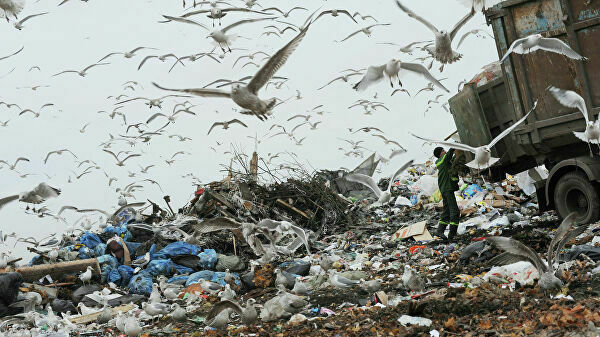 Главными врагами экологии названы мусор и транспорт