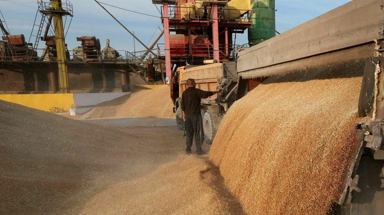 Турция намерена перерабатывать российское зерно и поставлять в Африку