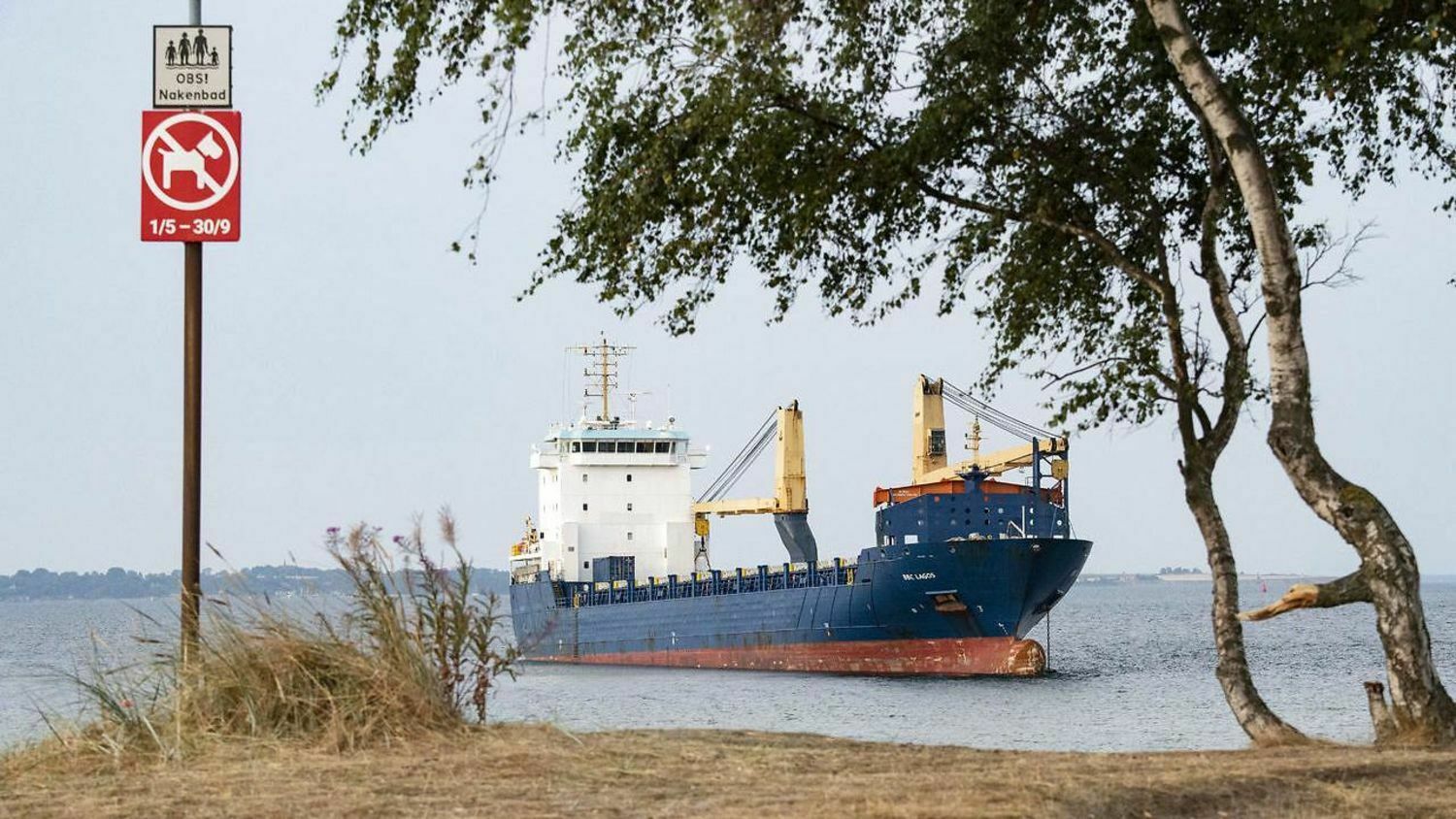 Нетрезвый капитан из России посадил на мель судно у берегов Швеции