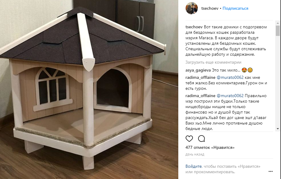 Мэр столицы Ингушетии сообщил о решении жилищных проблем бездомных котов