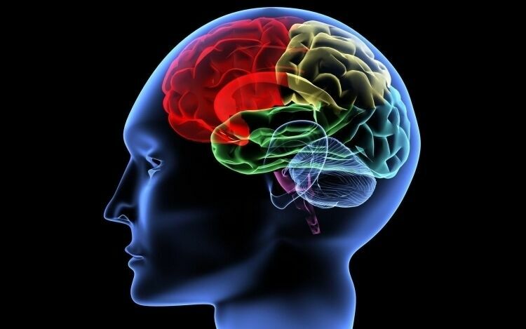 Ученые: Шизофрения появилась вместе с эволюцией человеческого мозга