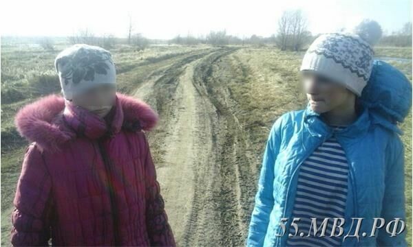 Пропавшие под Омском девочки 2 дня жили в шалаше, питаясь ягодами шиповника