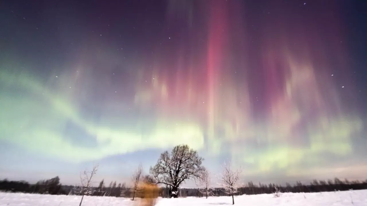 В Ленинградской области наблюдалось северное сияние и световые столбы