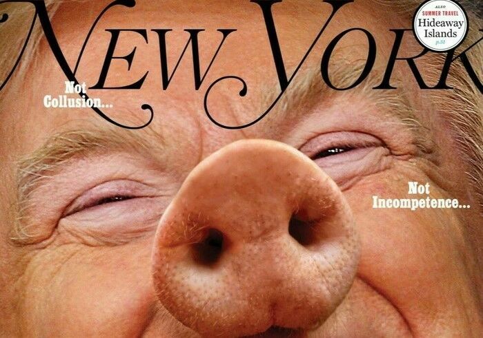 "Страна стыда":  New York Magazine обвинил Трампа в коррупции