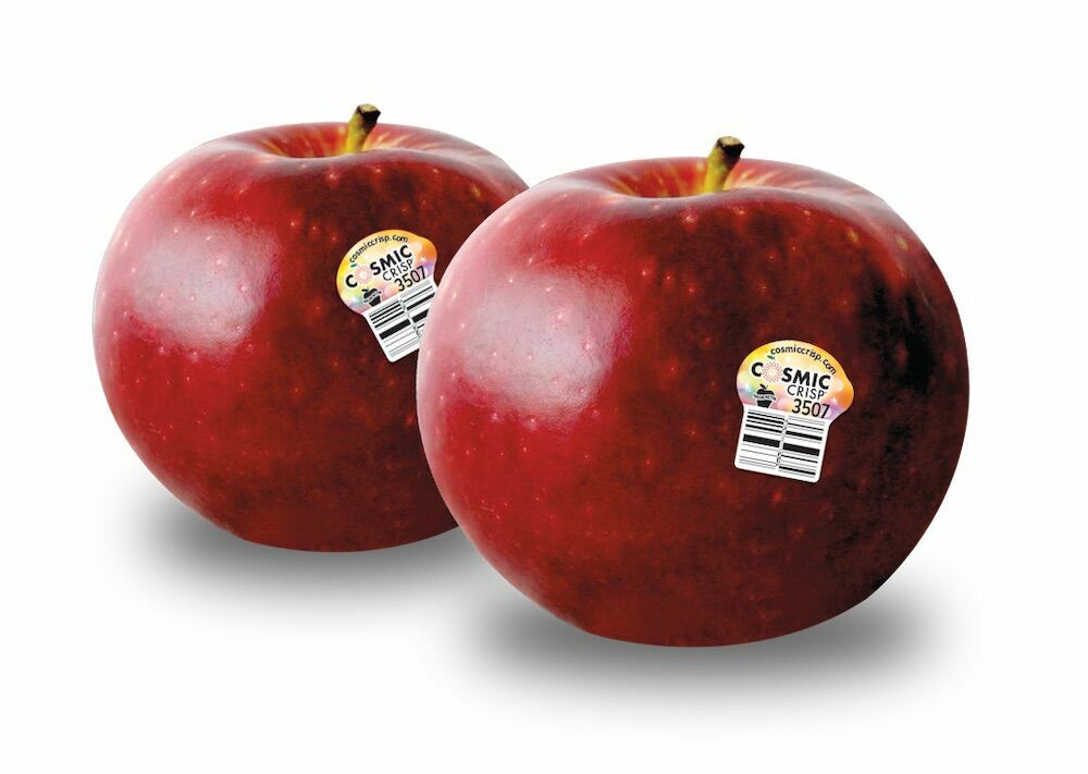 Фруктовые отморозки: выведены яблоки, способные храниться в холодильнике целый год