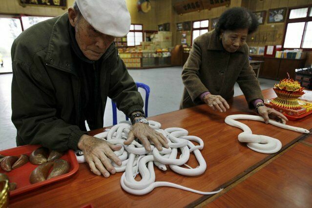Змеиный бизнес в Китае приносит миллионы долларов