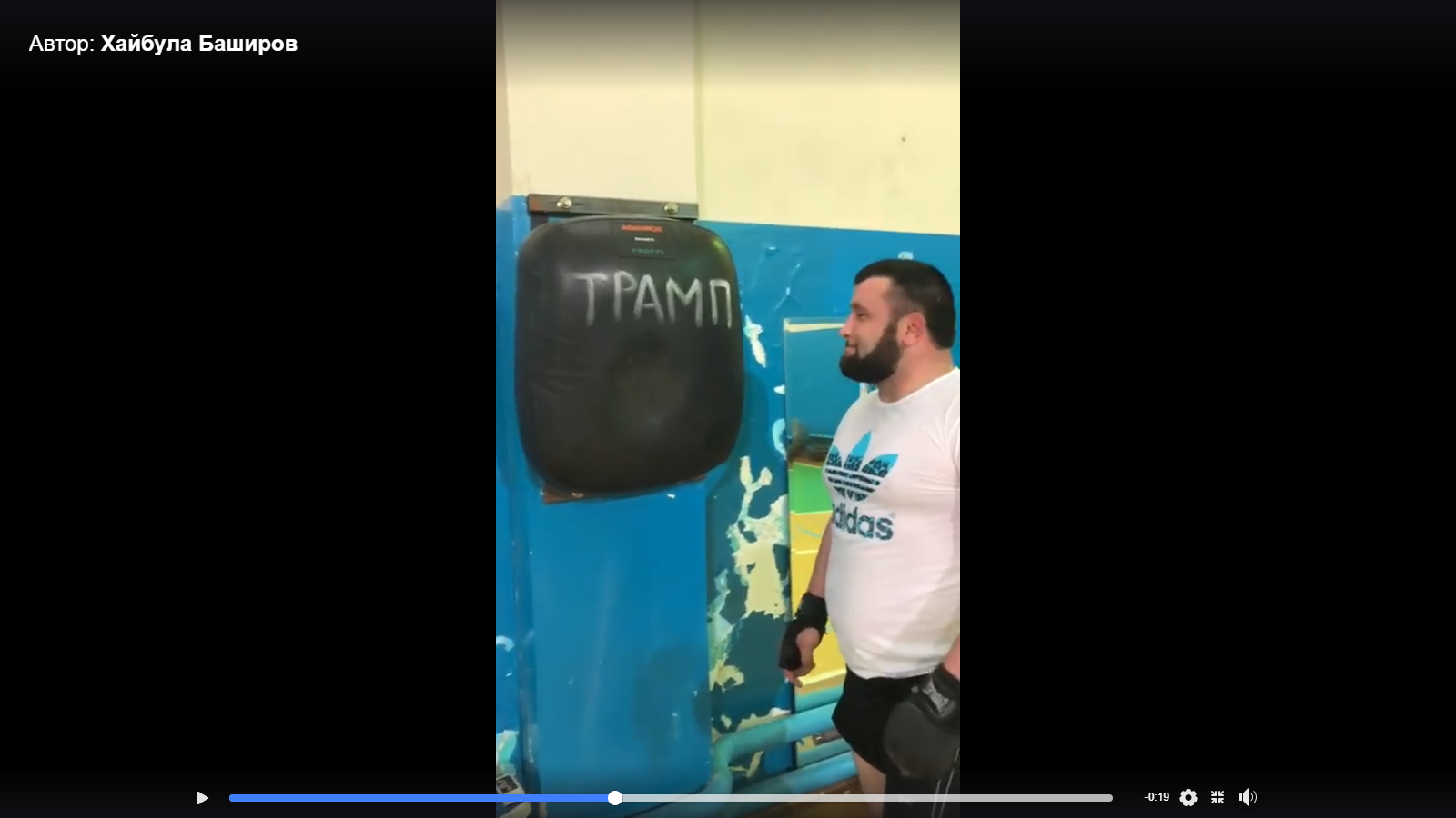 Сеанс симпатической магии - дагестанской боксер избивает «Трампа»