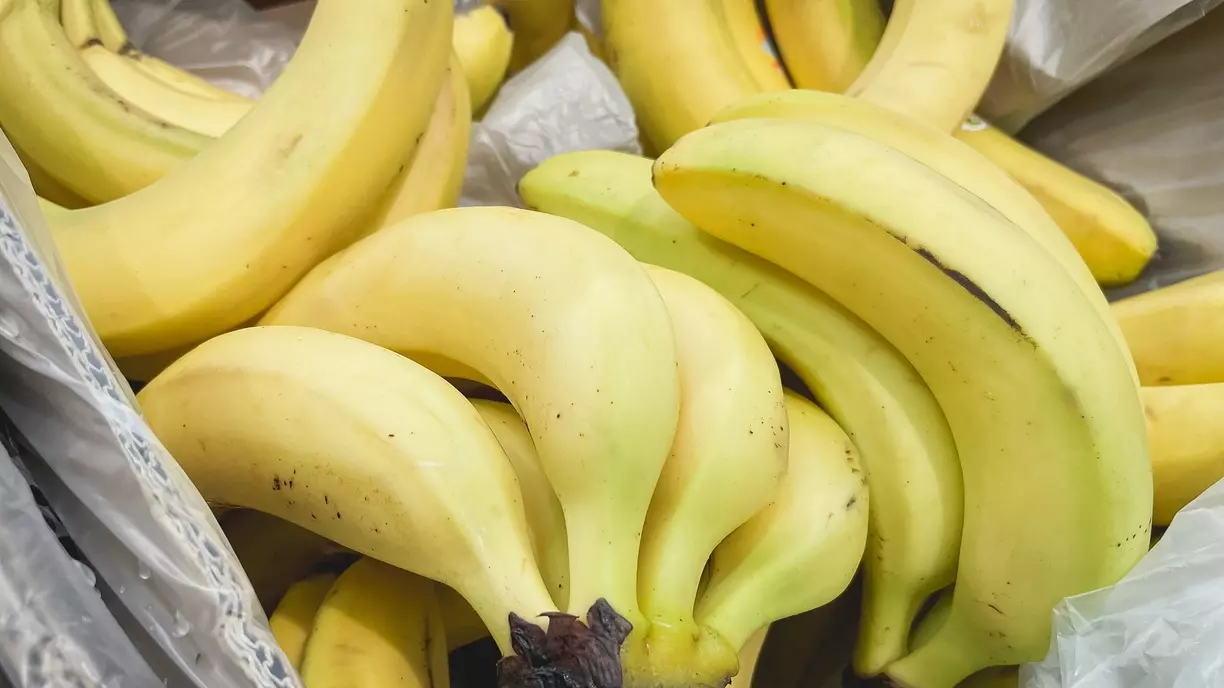 Россия разрешила возобновить импорт бананов из Эквадора