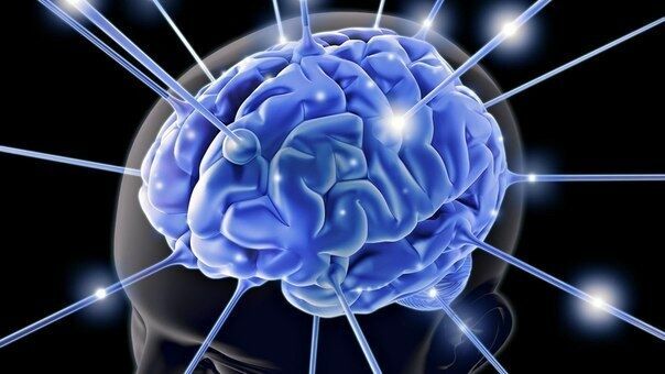 Ученые открыли способ защитить мозг от последствий ишемии