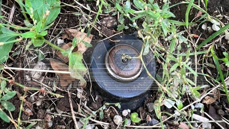 У офиса «Аэрофлота» нашли предмет, похожий на мину «Лепесток»