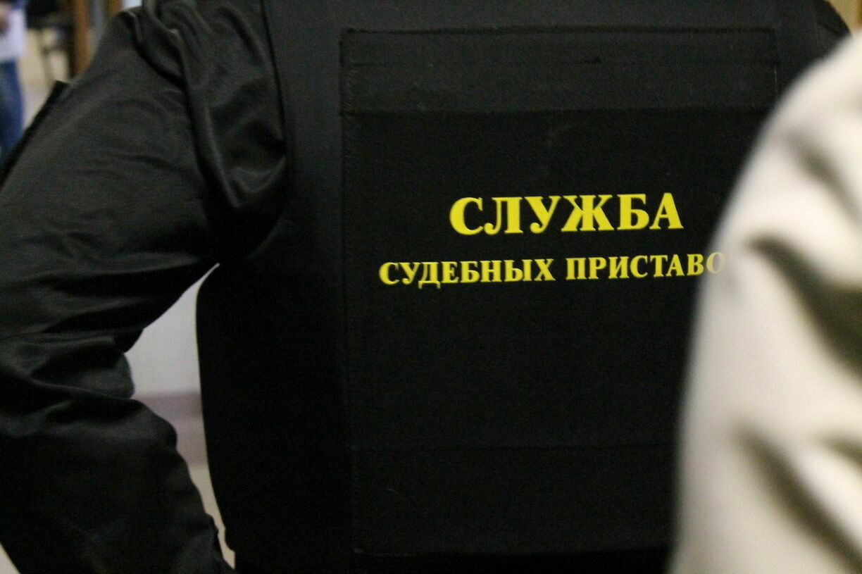Судебные приставы открыли часть своих электронных баз для россиян