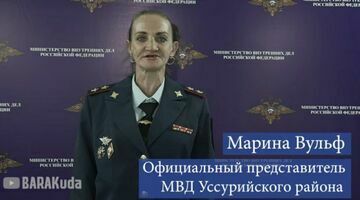 Жительницу Уссурийска, которая пародировала Ирину Волк из МВД, осудили на три месяца