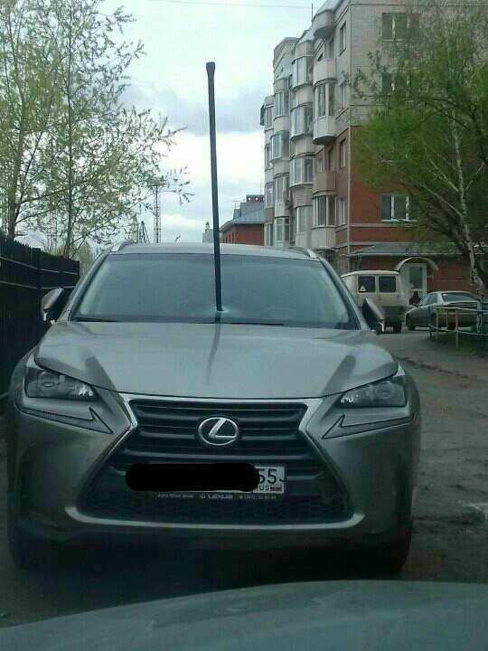 В Омске припаркованный Lexus поразило "копье судьбы"