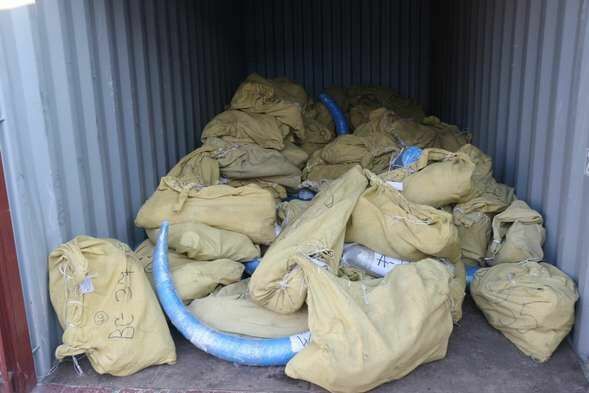 Якутская компания пыталась выдать 5 тонн бивней мамонта за обычные кости