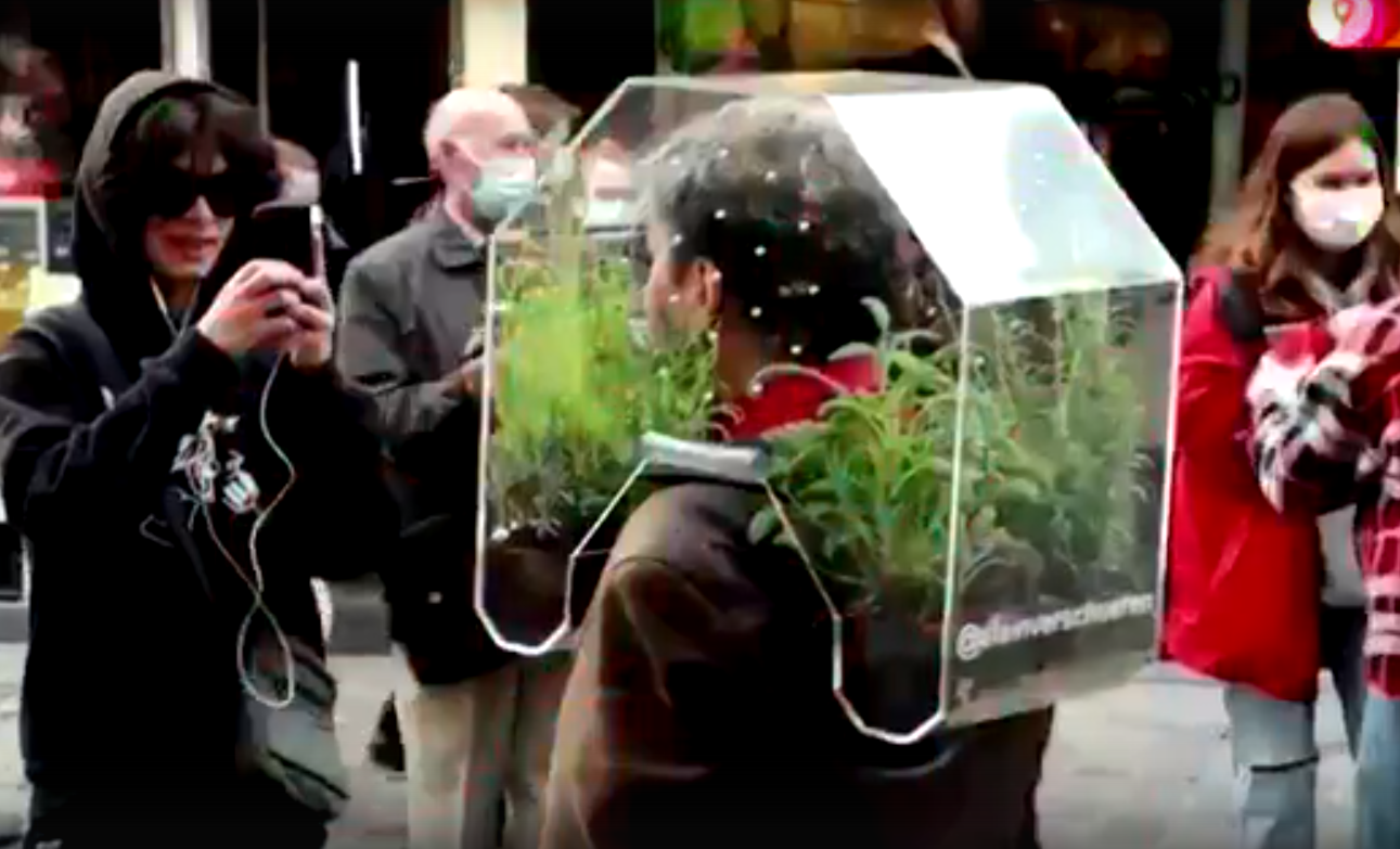 Видео дня: бельгиец защитился от ковида с помощью оранжереи на голове