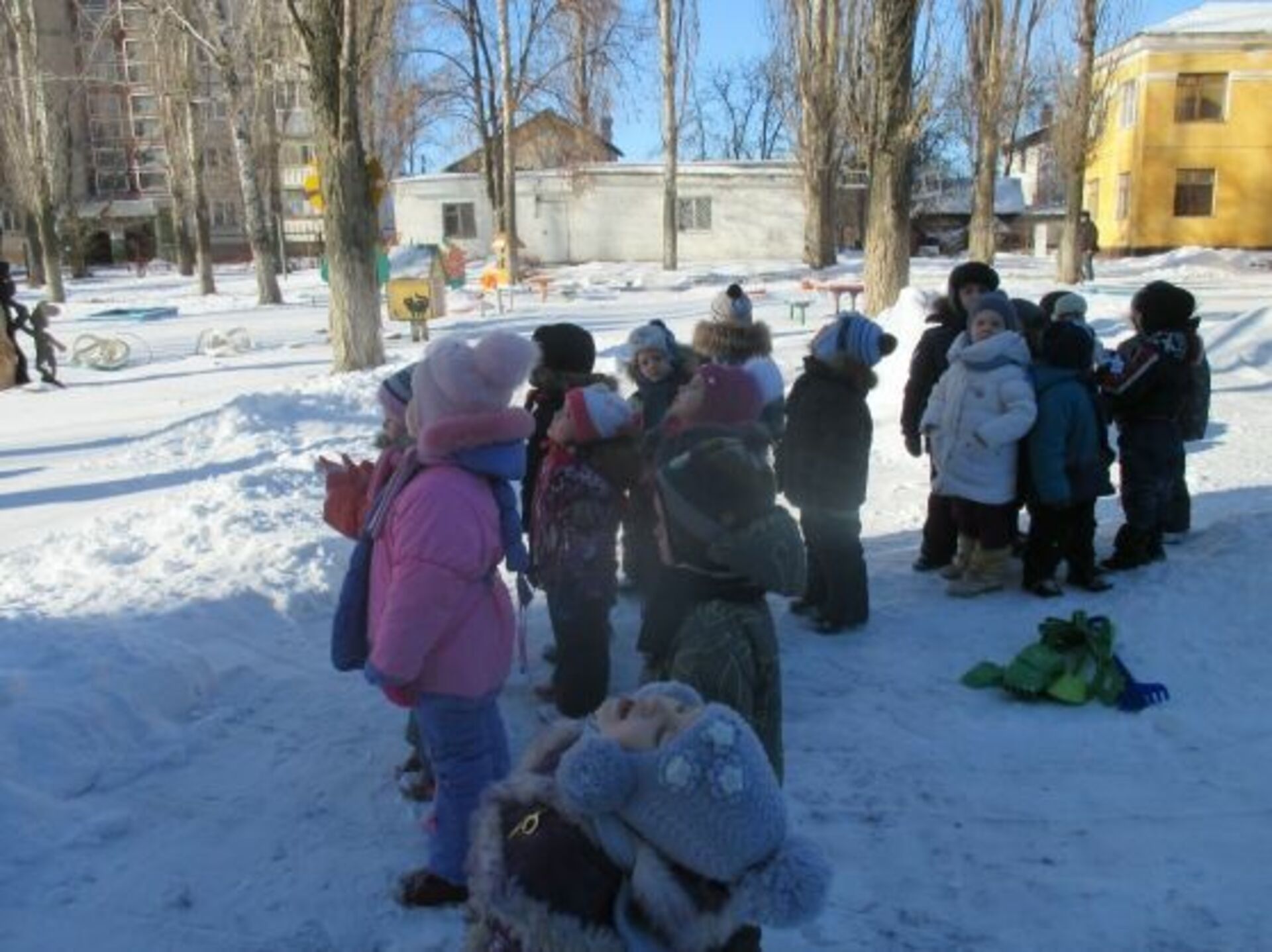Целевая прогулка в подготовительной группе. Прогулка наблюдение за деревьями зимой. Дети рассматривают деревья зимой. Наблюдения за небом зимой. Дети наблюдают в ДОУ за небом.