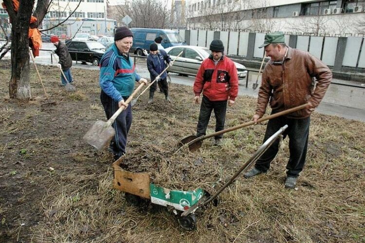 Около трех миллионов москвичей поучаствовали в уборке города