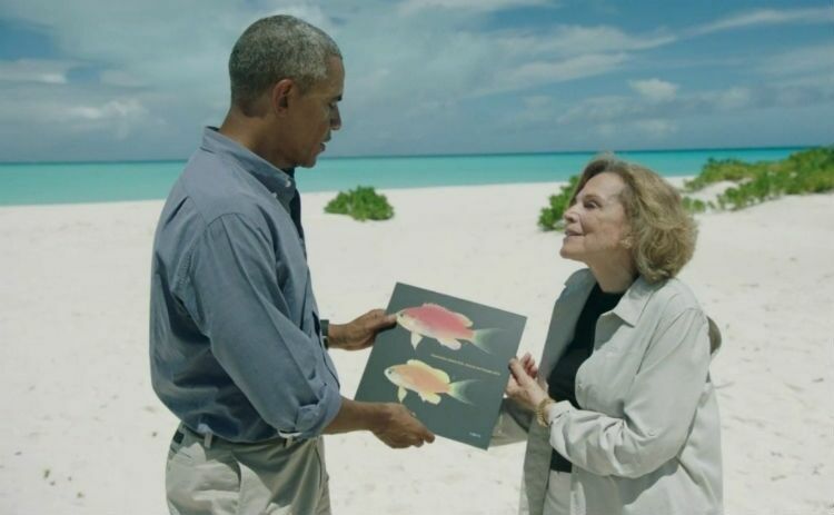 В честь Обамы назвали новый вид рыб из заповедника Папаханаумокуакеа