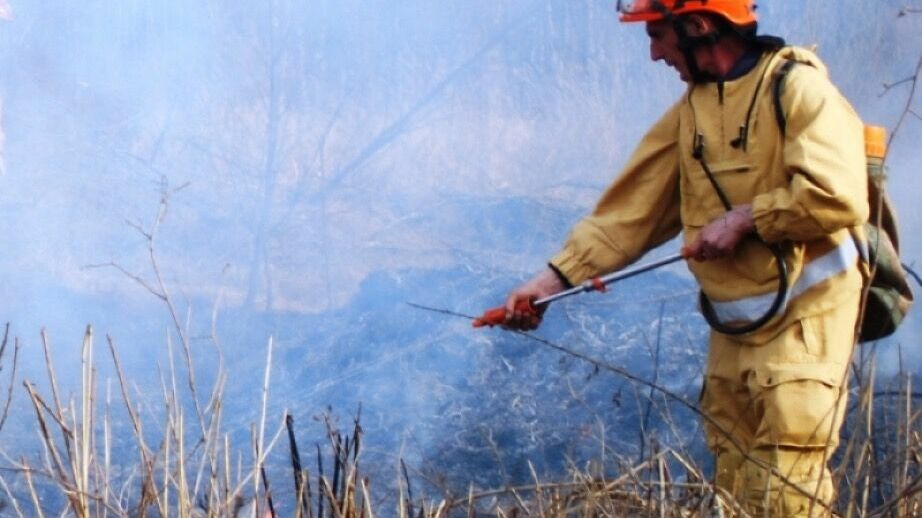 Основная причина лесных пожаров в Хабаровском крае – рукотворные палы