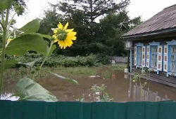Около 100 человек отказываются покидать затопленные дома под Хабаровском
