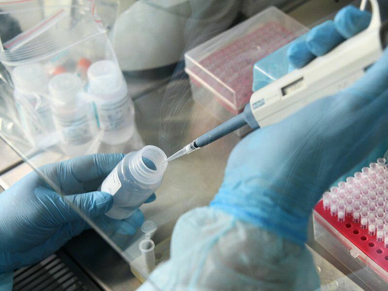 Российские ученые создали высокоточный тест на коронавирус