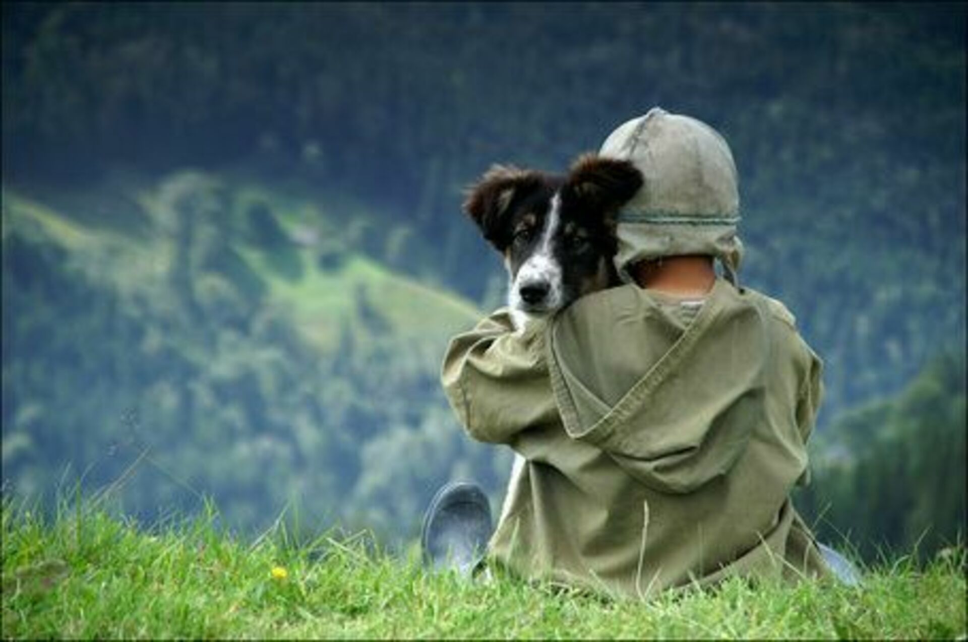 Собака и ее душа. Доброта картинки. О доброте. Настоящая доброта. Человек с собакой.