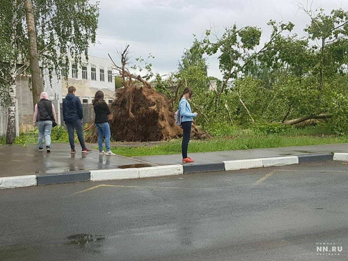 Почти 30 человек пострадали при урагане в Нижегородской области