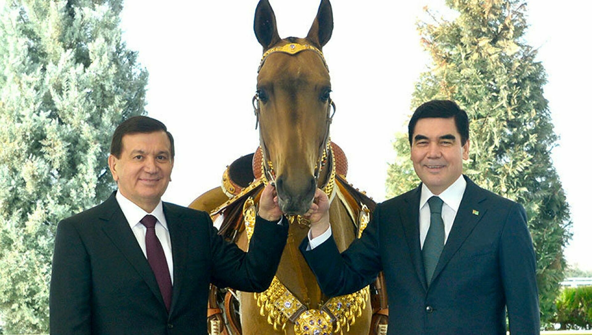 Бердымухамедов подарил главе Узбекистана Мирзиёеву "крылатого" скакуна 
