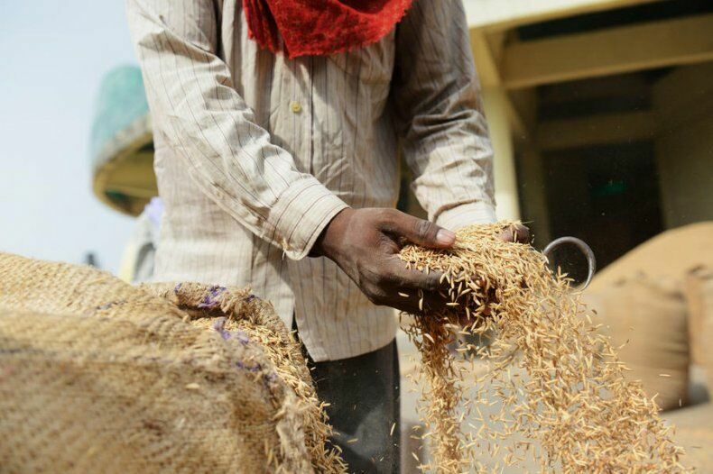 Бангладеш намерен купить у России 500 тысяч тонн пшеницы
